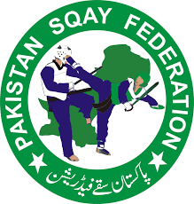 logo pakistan sqay