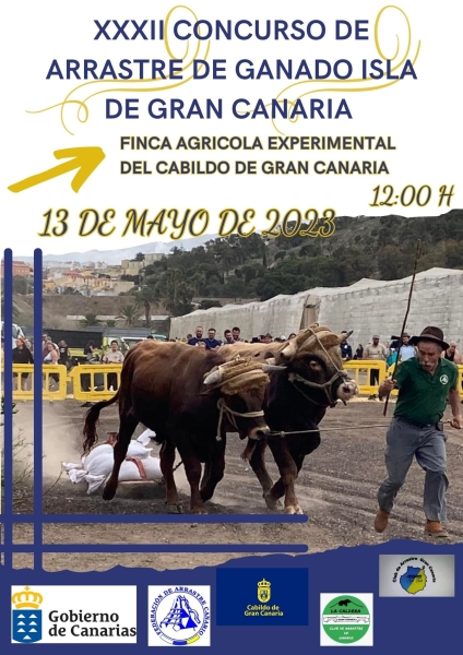 arrastre_Gran_Canaria_05