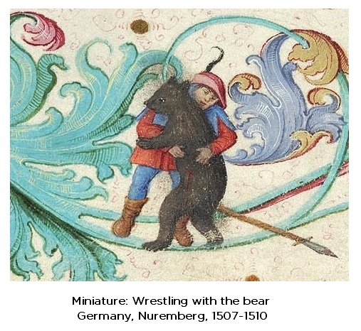 Wrestling with the bear