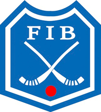 FIB logo jpg