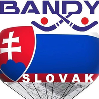 Slovak Bandy