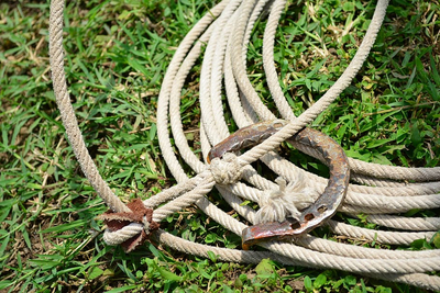rope riata charro horseshoe